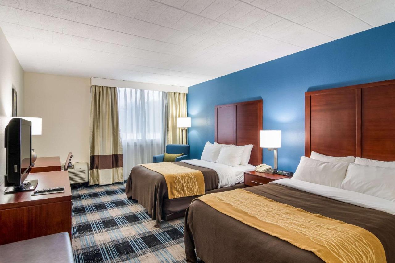 Comfort Inn & Suites Montrose Hill Dış mekan fotoğraf