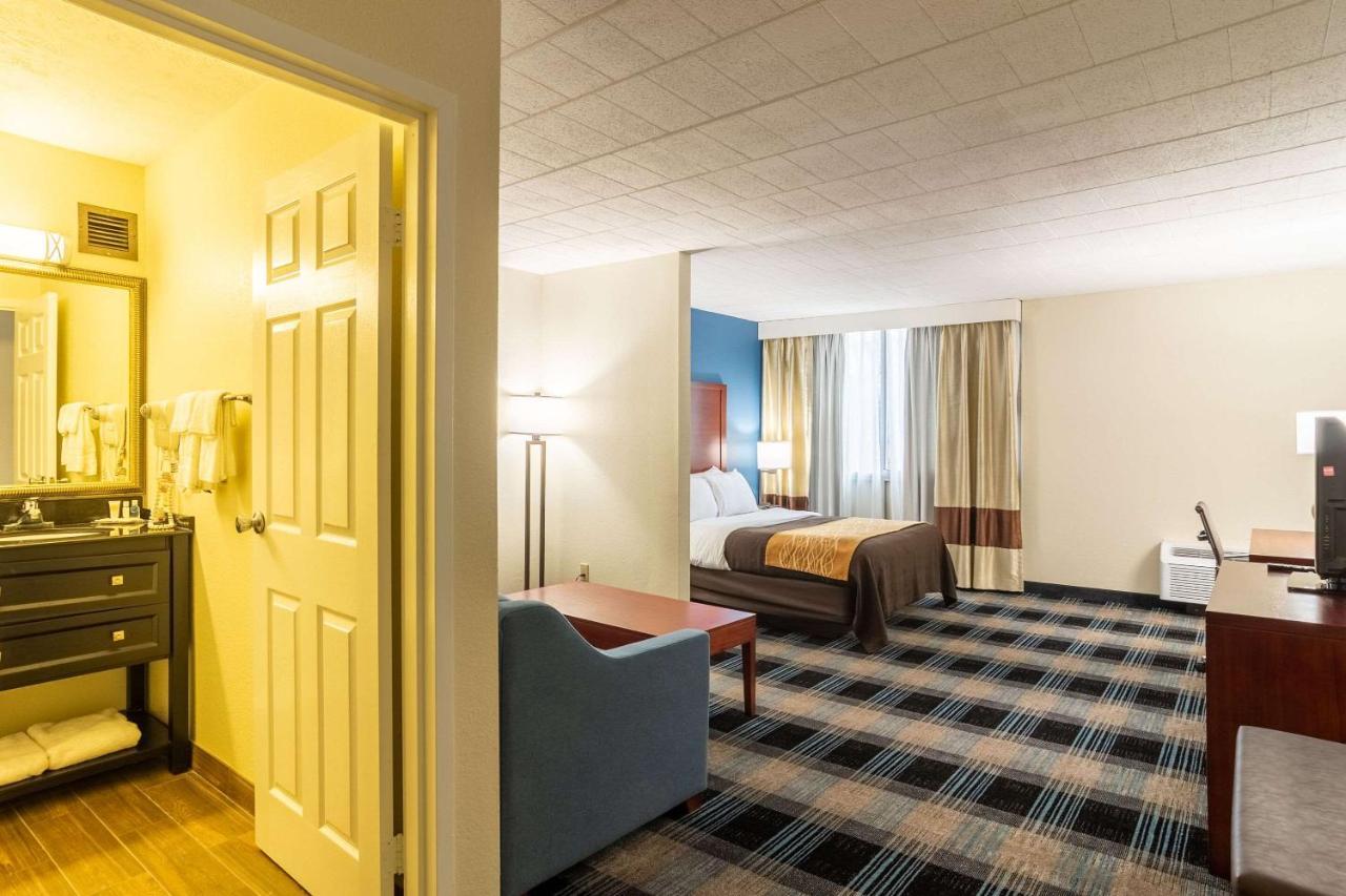 Comfort Inn & Suites Montrose Hill Dış mekan fotoğraf