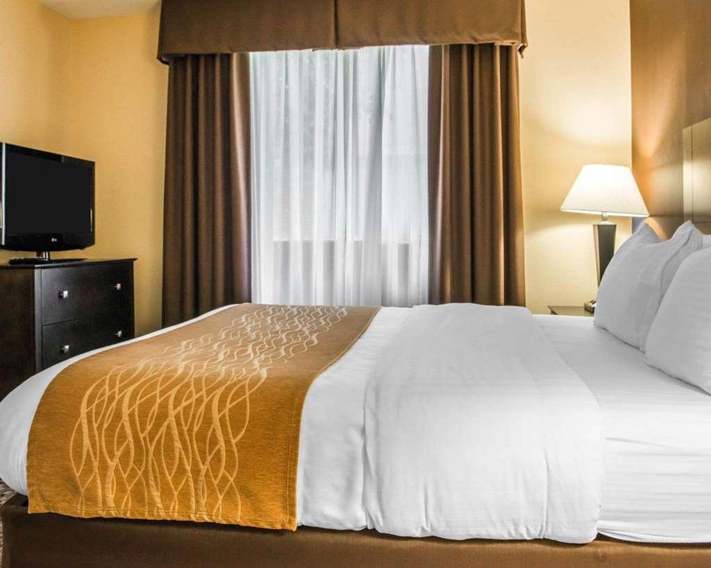 Comfort Inn & Suites Montrose Hill Oda fotoğraf