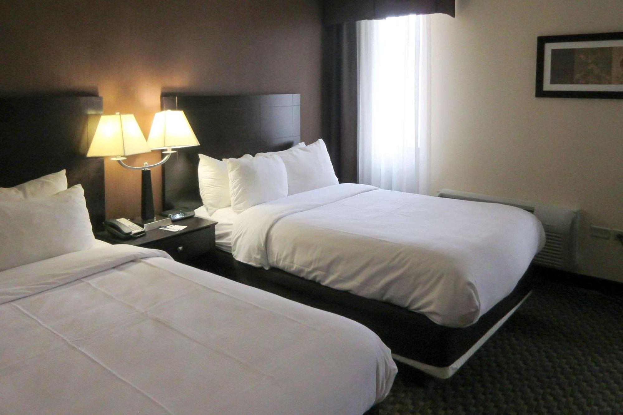 Comfort Inn & Suites Montrose Hill Dış mekan fotoğraf